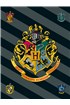 Dětská fleecová deka Harry Potter 067