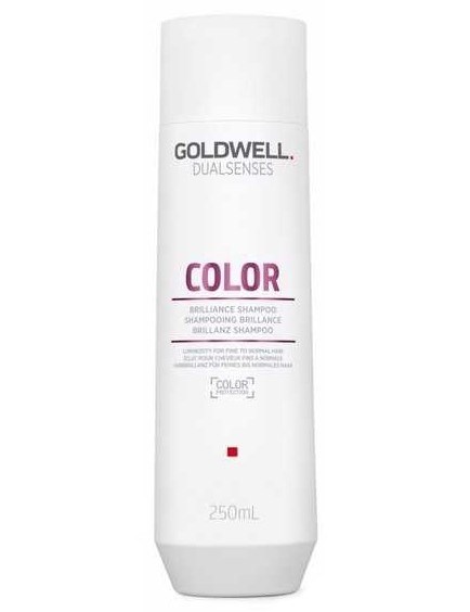 GOLDWELL Dualsenses Color Shampoo 250ml - šampon pro barvené a tónované vlasy