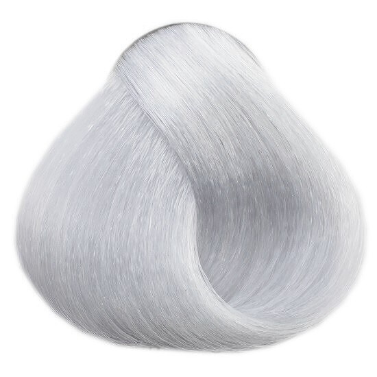 LOVIEN ESSENTIAL LOVIN Color barva na vlasy 100ml - Silver Grey 12.1
