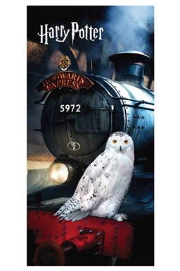 Osuška Harry Potter "Hedwig" 70x140 cm